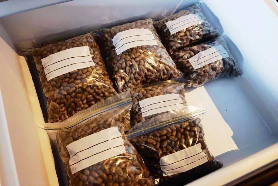 山药豆的功效与作用