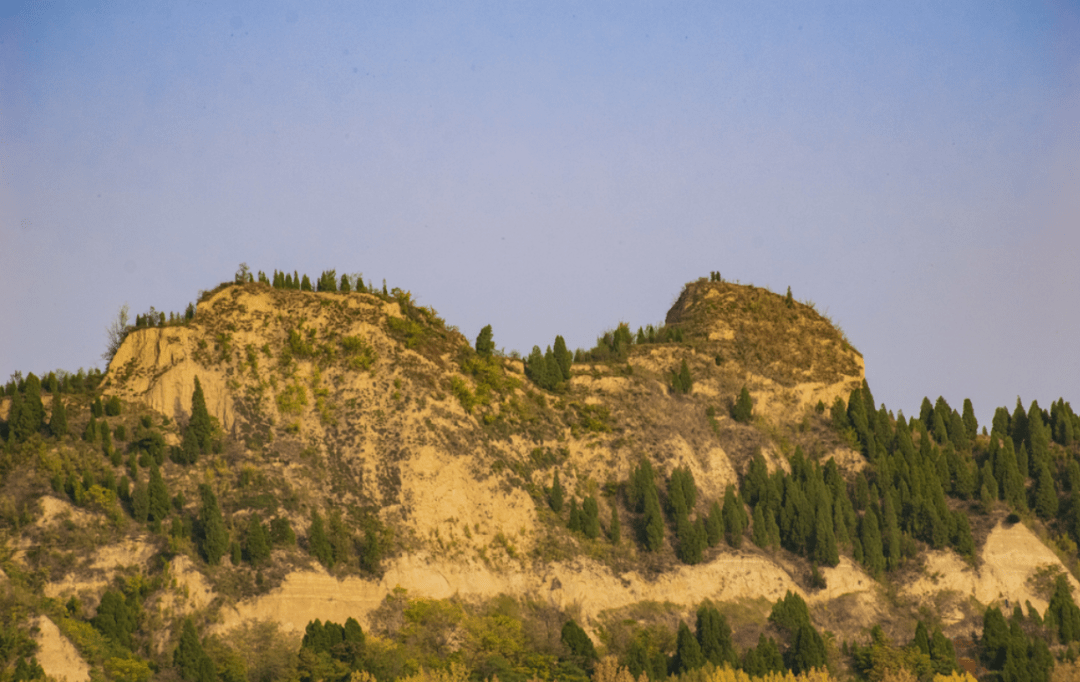 ������������ · ������ɽ