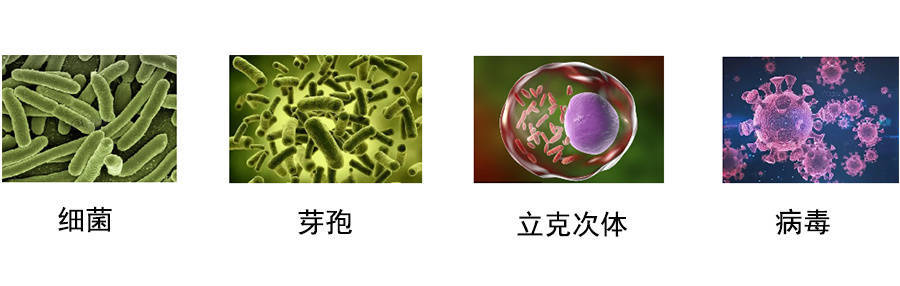 透析紙袋真的是滅菌一次性內褲的首選嗎? 第6張 透析紙袋真的是滅菌一次性內褲的首選嗎? 第6張