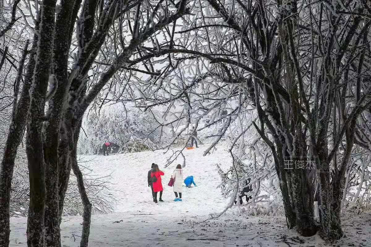 重庆迎断崖式降温，仙女山浪漫雪景已“打包”急待发货