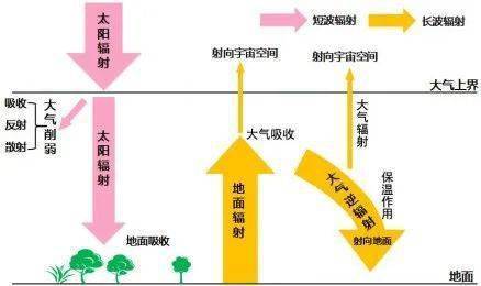 【新微专题】天文视角看垛田，什么是设备蔬菜？附机械防沙办法、节水节肥种植手艺、秋浇专题