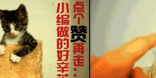 原创
搞笑图片幽默段子笑话:泡面味道肯定很好吃吧!