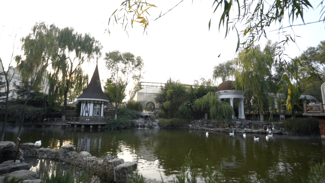 《我的桃花源》不出北京也能来一场漫游世界之旅！