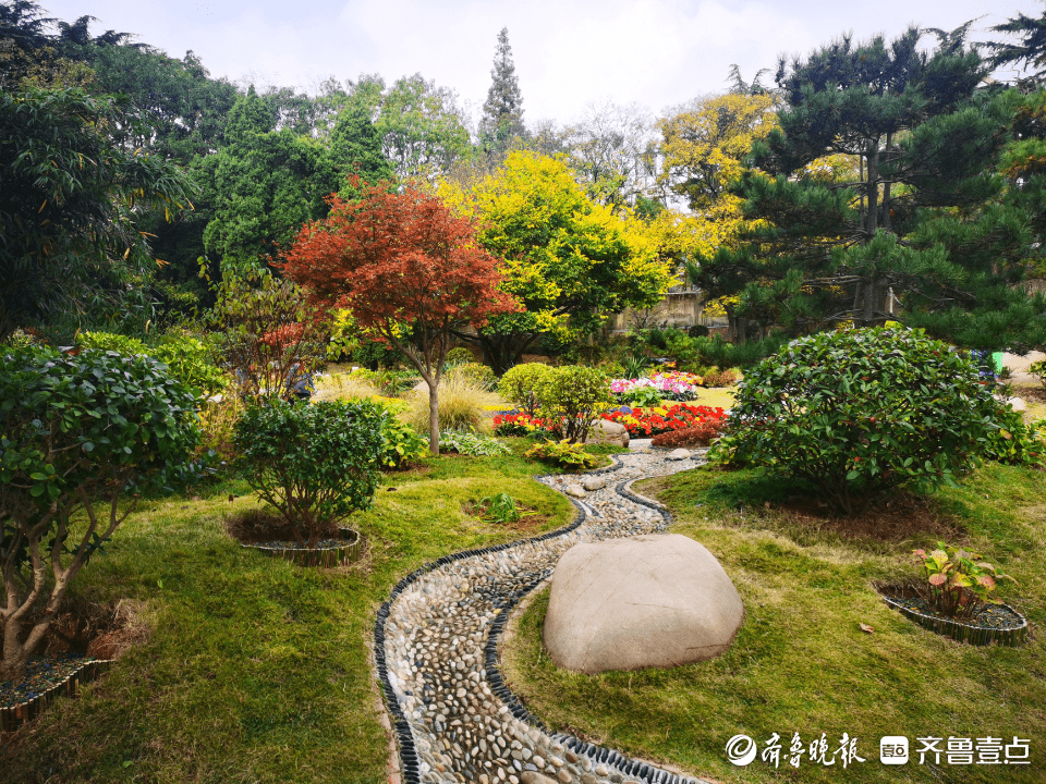 展园林匠心市南开云体育 开云平台举办园林绿化行业职业技能竞赛(图2)