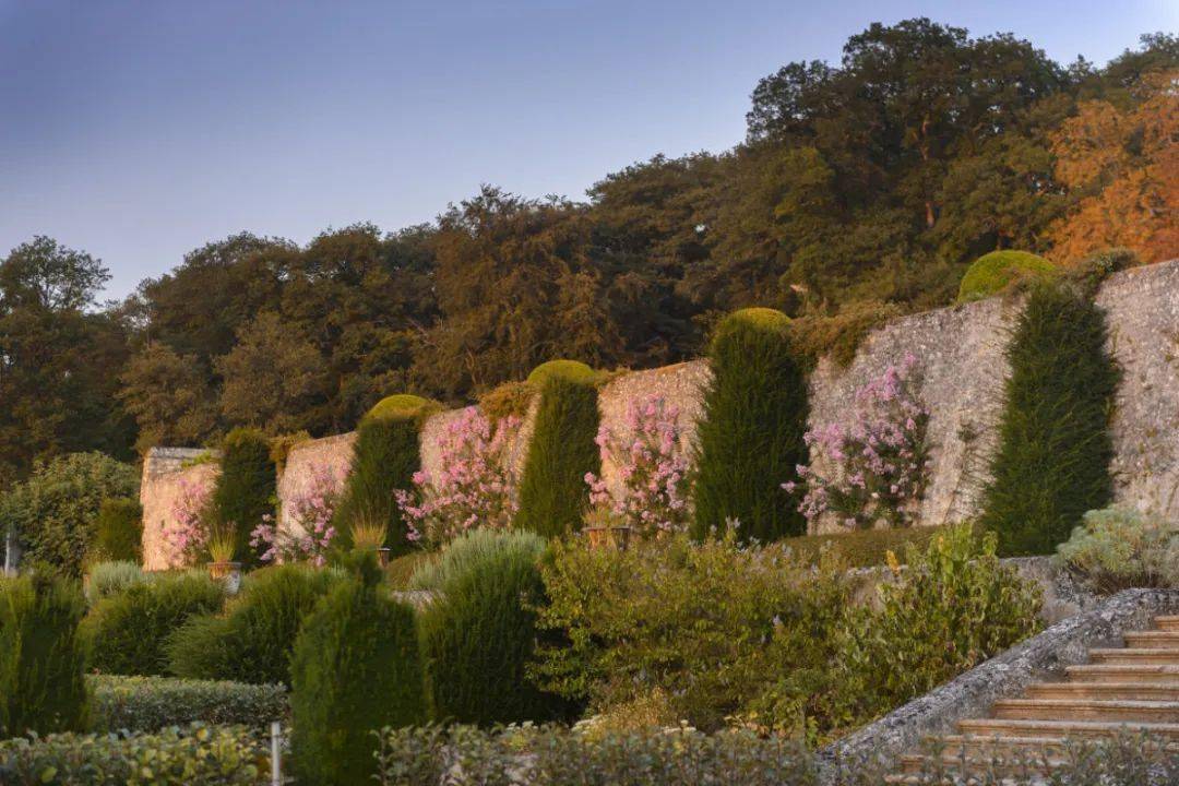 浴火重生的斑斓 | Château de Valmer 瓦尔默城堡花园