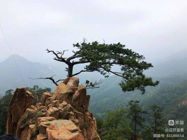 雪浪花诗社美篇第61期_新韵_小雪_地铺