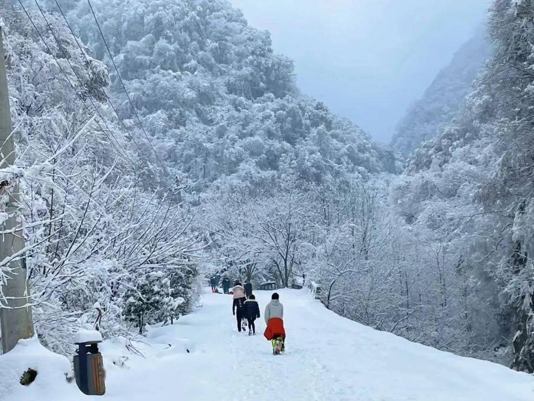 邂逅秦岭雪景,山林轻徒步,打雪仗堆雪人,奔赴一场冬日童话!