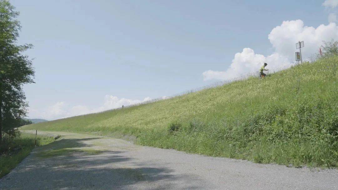 放映预告｜去山林，去原野，扒开“天然”的迷雾