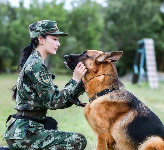 2017年时张馨予参加了综艺节目《奇兵神犬,结下了姻缘.