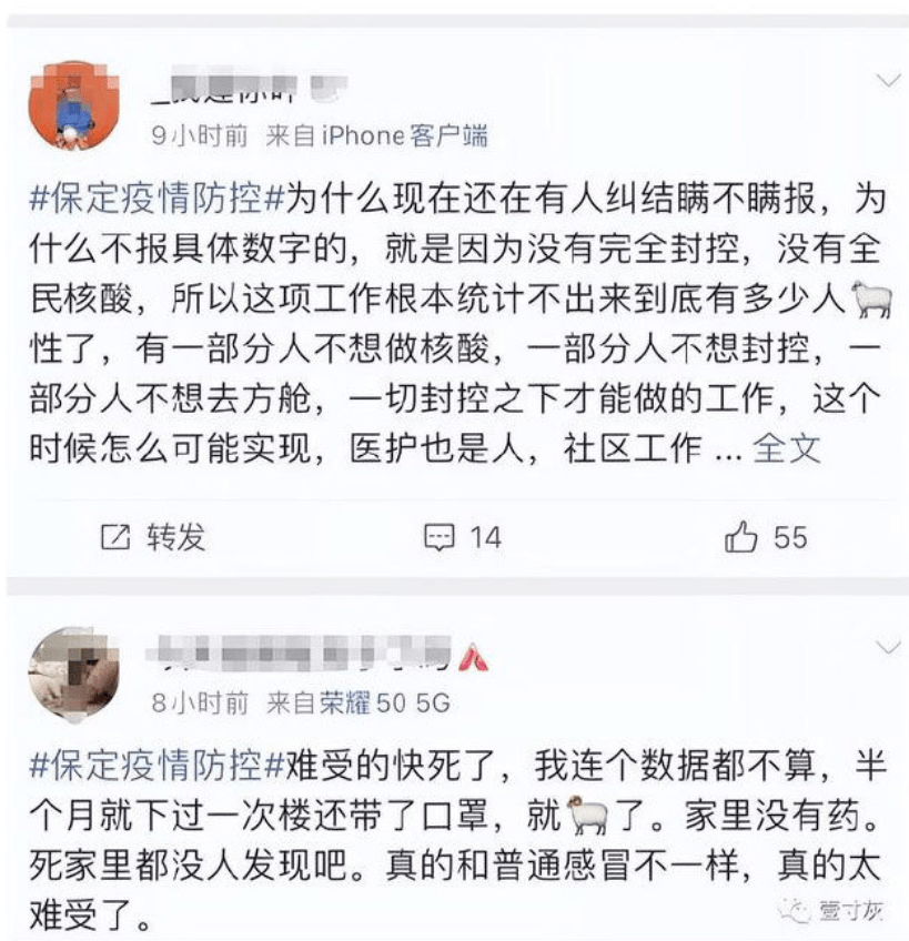 遍地阳性？此地回应：网上夸张成分太大