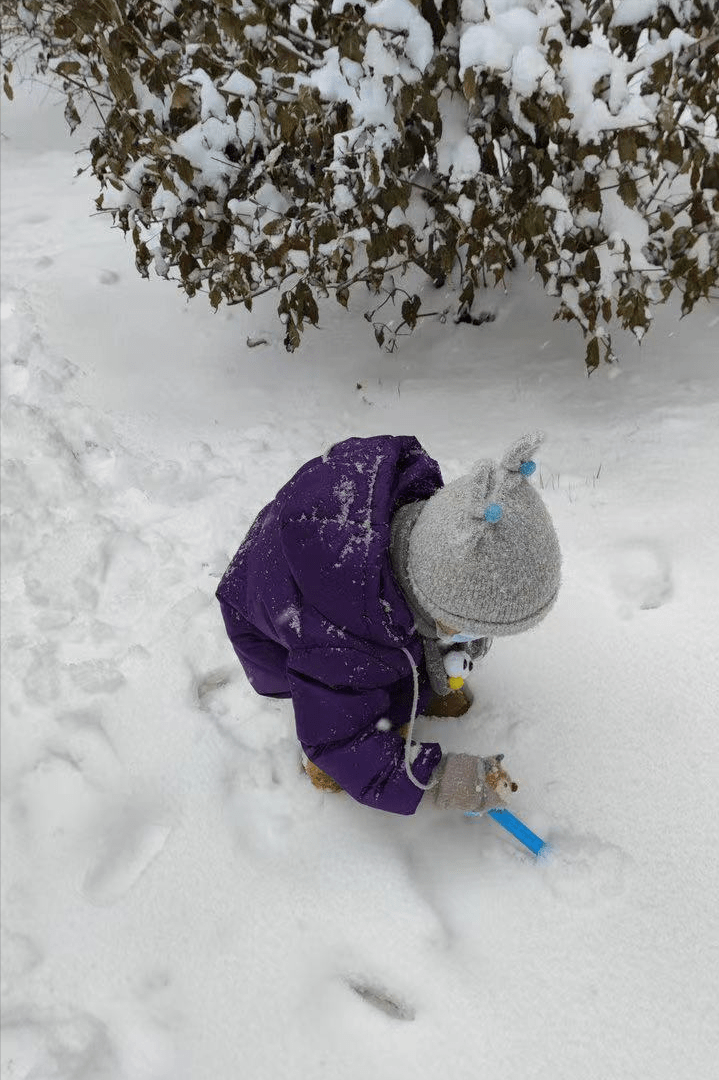 诗歌｜姥姥的大雪日记  日记 第5张