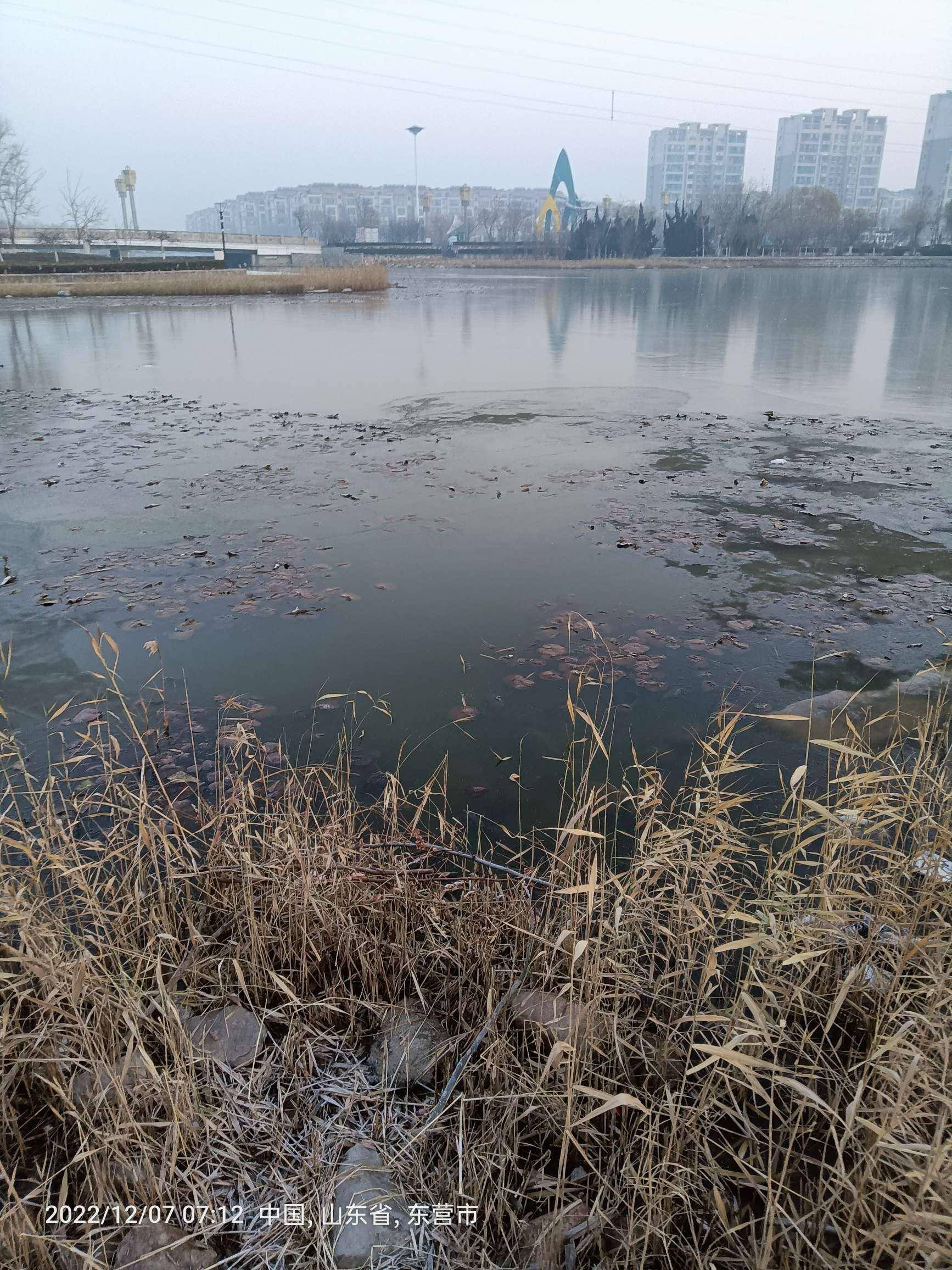 进步浮漂灵敏度，芝麻开花鱼渔多