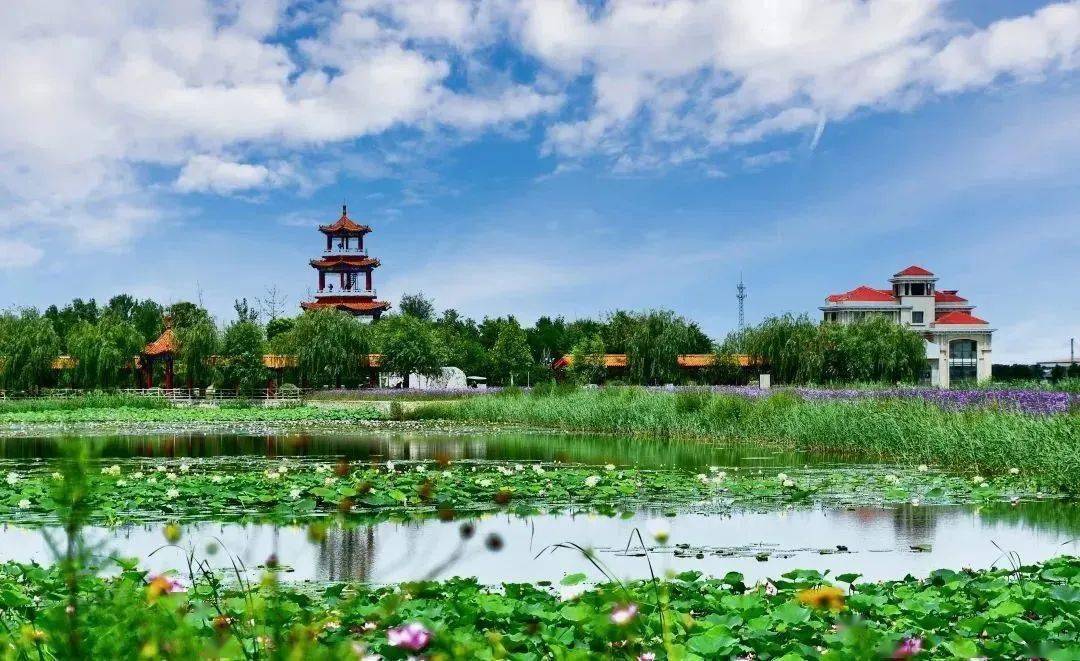 天津首发100个文旅消费新场景 快来看看都是嘛_景区_文化_滨海新区