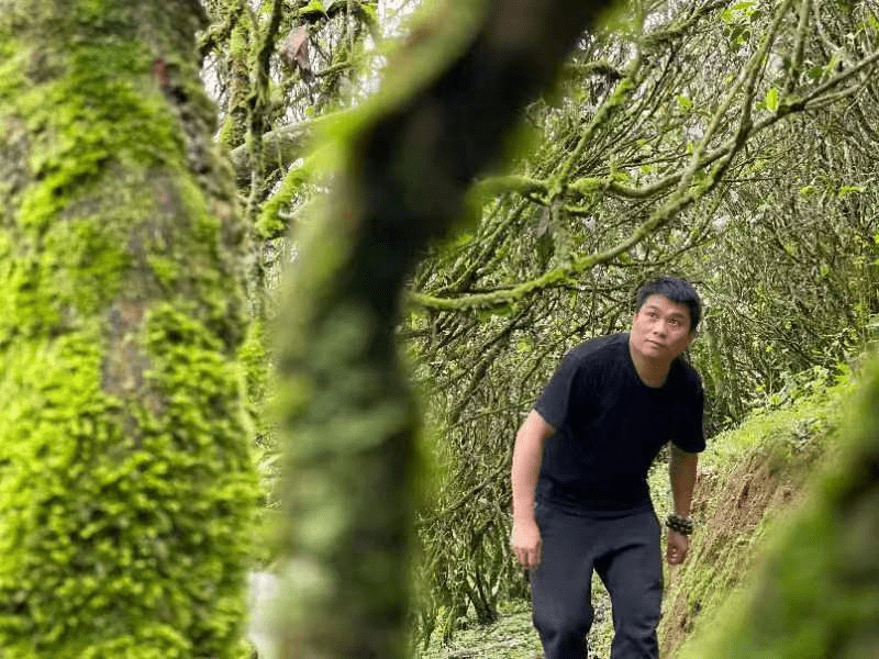 烹茶煮荼万里香 武夷新茗举国尝—武夷山吴三地然韵茶厂厂长占兴隆