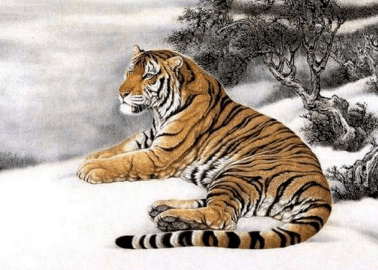 一曝十寒打一生肖打一种生肖动物，最新解答揭晓落实