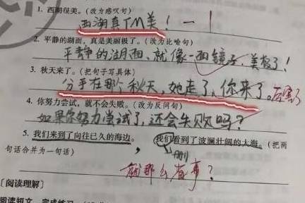 小学生奇葩作文，老师火冒三丈，直呼：你真是个人才，给我出去！  小学作文 第2张