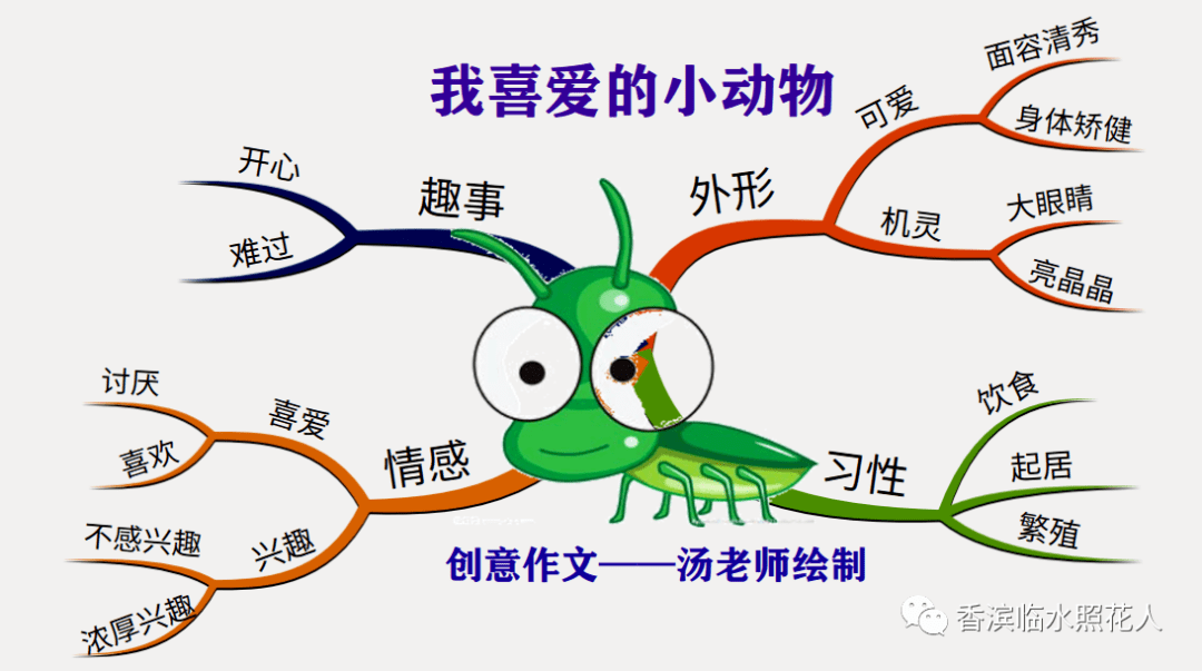 【思维导图“画”作文—五年级“我的心爱之物”】张梓佳《大白鹅》（二十八）  五年级作文 第4张