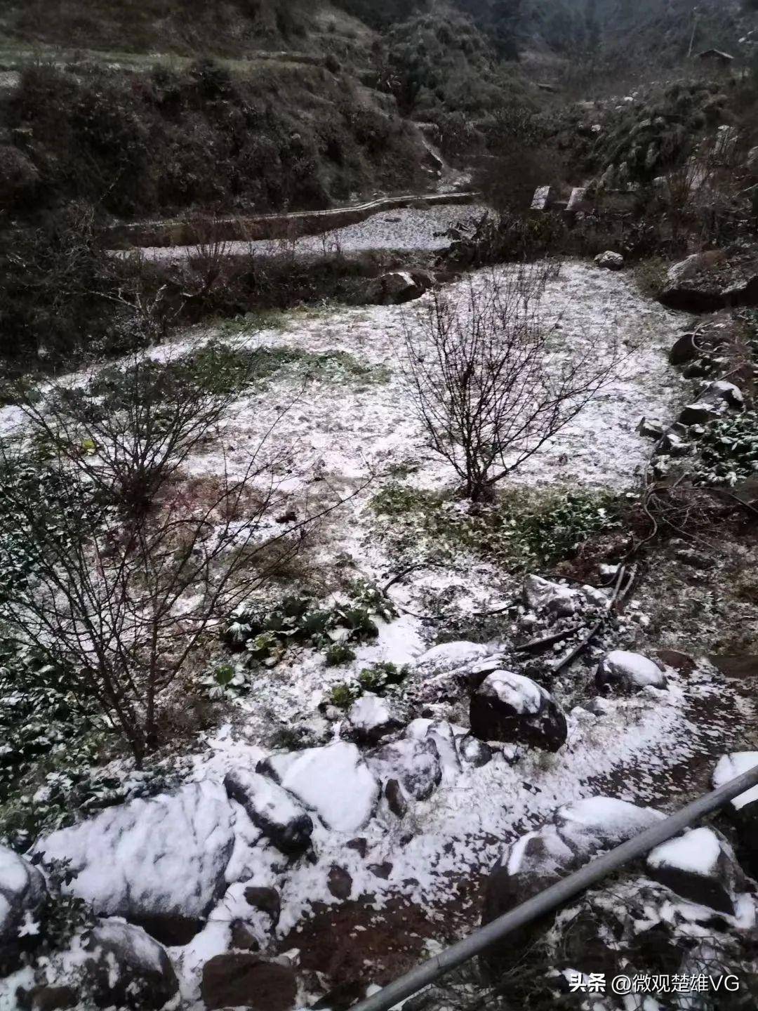 下雪啦！楚雄州多地迎来降雪