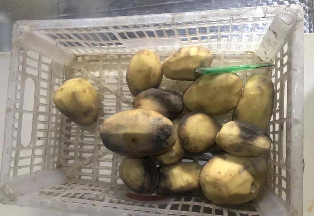 削好发黑的土豆，再削掉一层就白了保洁柜污秽不洁操作间脏乱差仓库同时