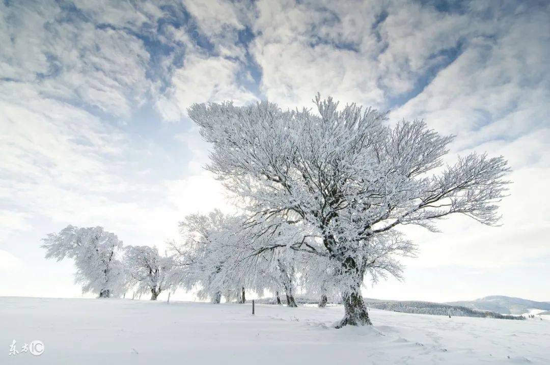 描写雪景的唯美古诗句,美到心碎的诗词佳句_白雪_积雪_雪花