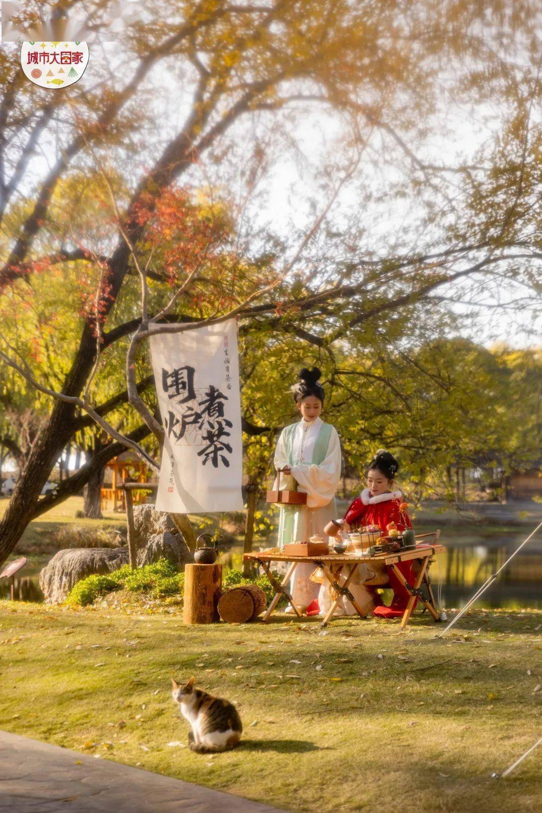 今日冬至，宜国潮风露营！