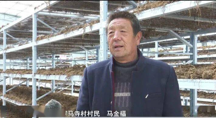 马峡镇罗马寺村村民 马金福"今年修的药材晾晒棚也大,方便我们晾药