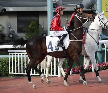 ���̨�����������к�