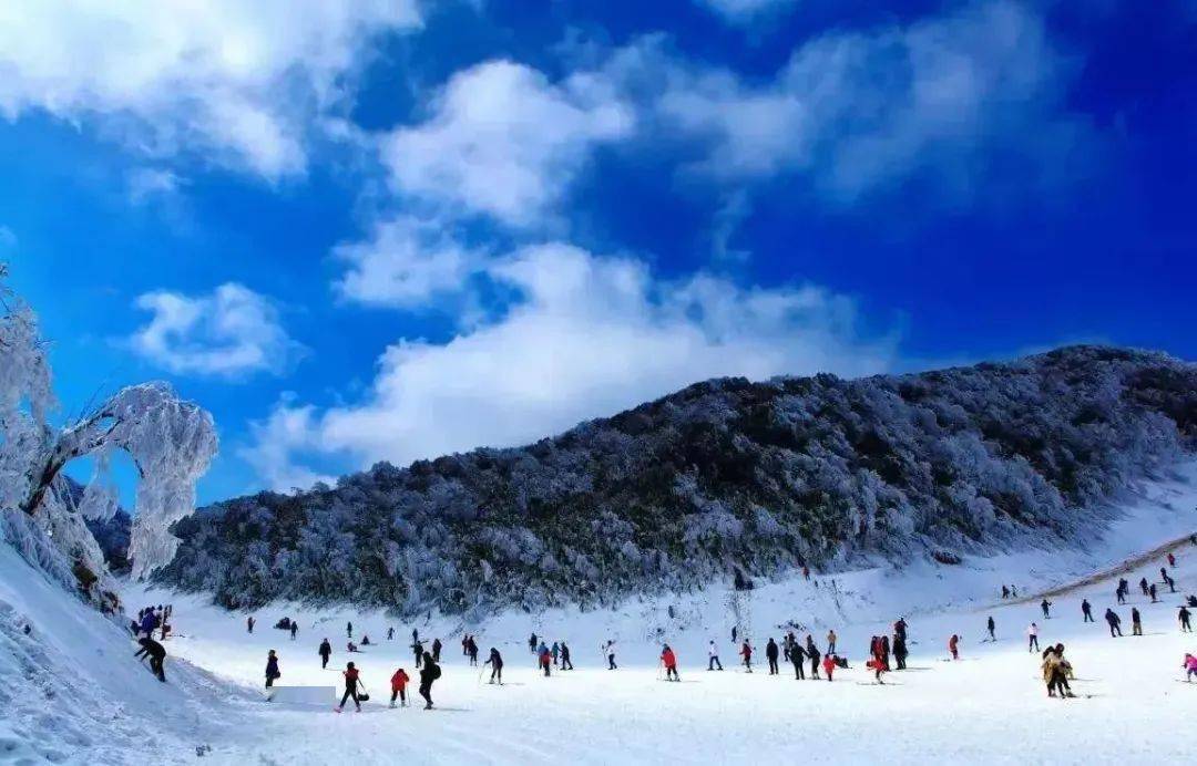 看点丨冰雪运谈球吧体育动地图发布！全市15个滑雪滑冰场等你打卡(图8)