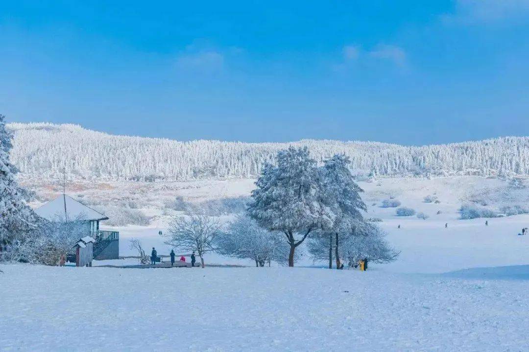 看点丨冰雪运谈球吧体育动地图发布！全市15个滑雪滑冰场等你打卡(图9)