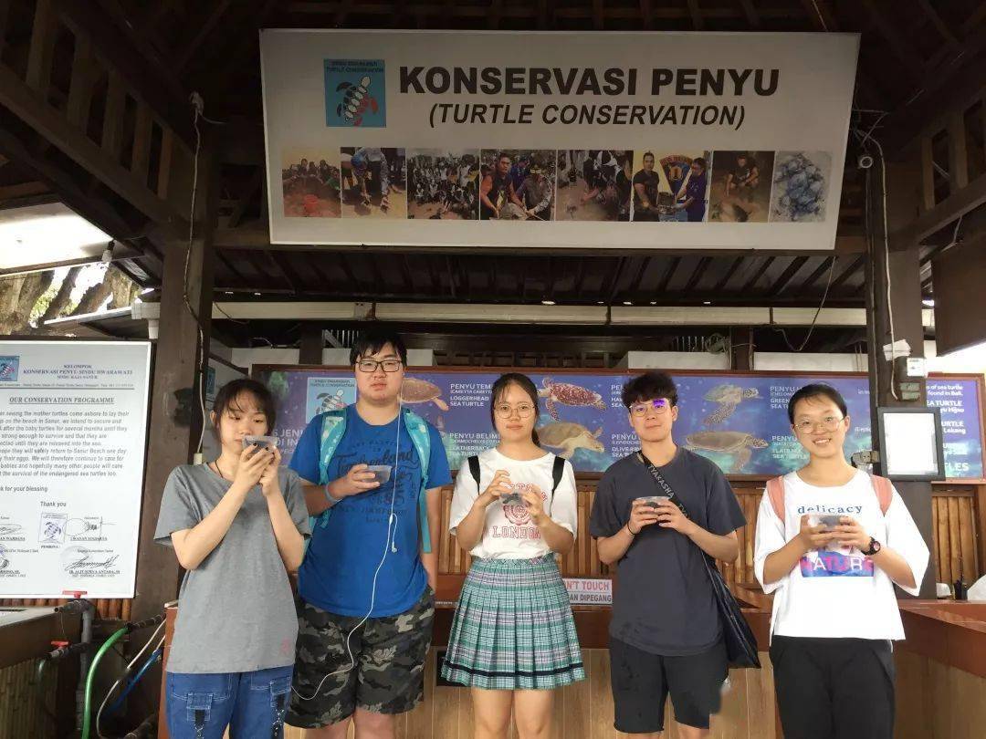 2023全新招募·巴厘岛海龟保育 | 在浪漫的巴厘岛碰见“重生”的本身