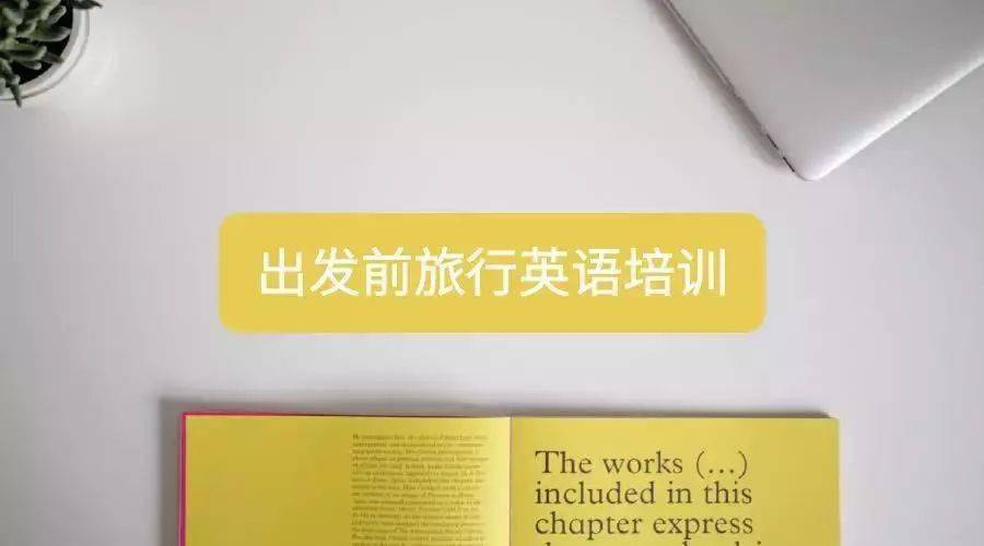 2023全新招募·巴厘岛海龟保育 | 在浪漫的巴厘岛碰见“重生”的本身