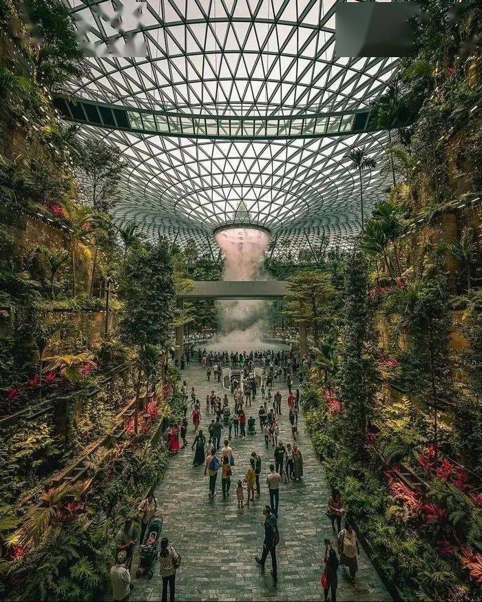 65�Ż��δ������Ƭ�����������Щ����Ľ�����̫������ ...