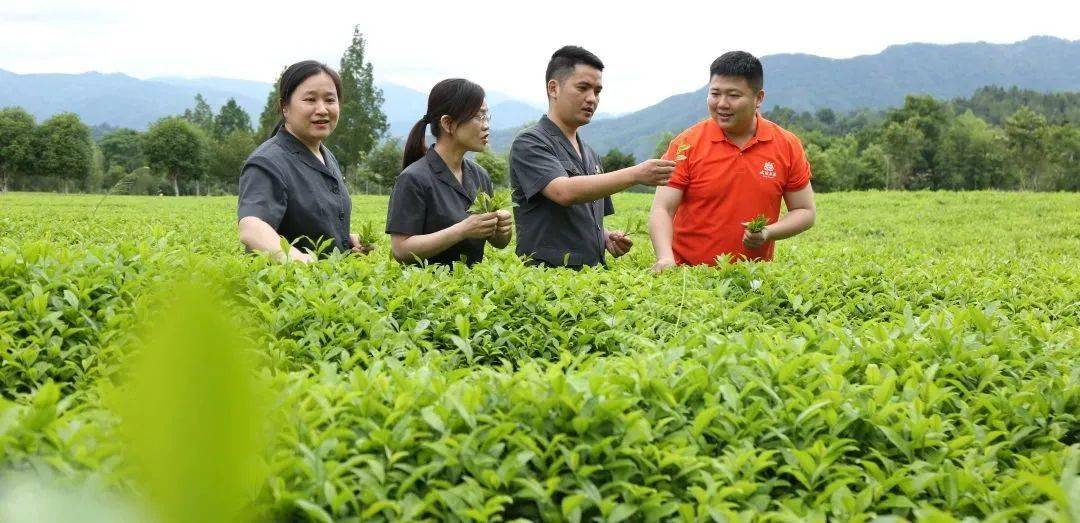 央视聚焦：生态之美 法治之力 中国之治