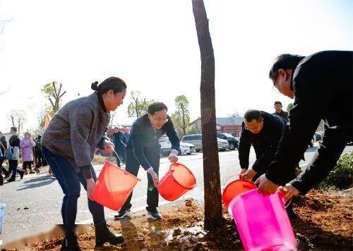 新春添新绿 | 江西各地开展新春义务植树活动