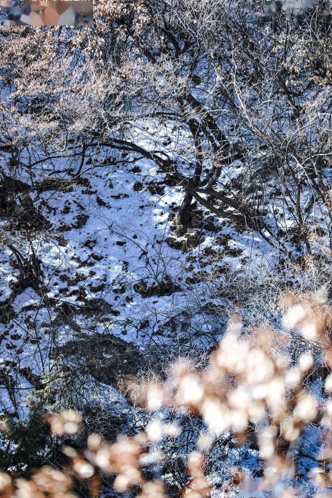 发旅拍 赢大奖 | 在冬日尾声，跟着达人畅享乡宁的雪景冬韵