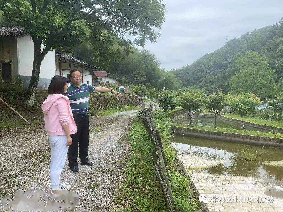 想休闲农业不会做怎么办？开云体育 开云平台(图3)