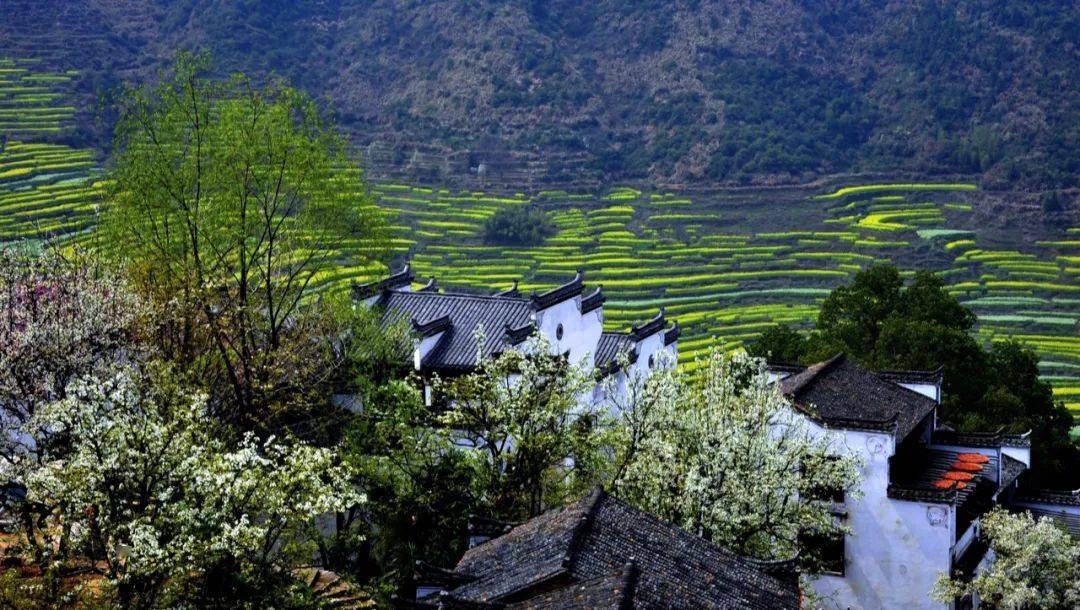 踏春赏花含双景区门票！婺源绝美悬崖小镇，绿野仙踪拍大片，高铁2h中转~