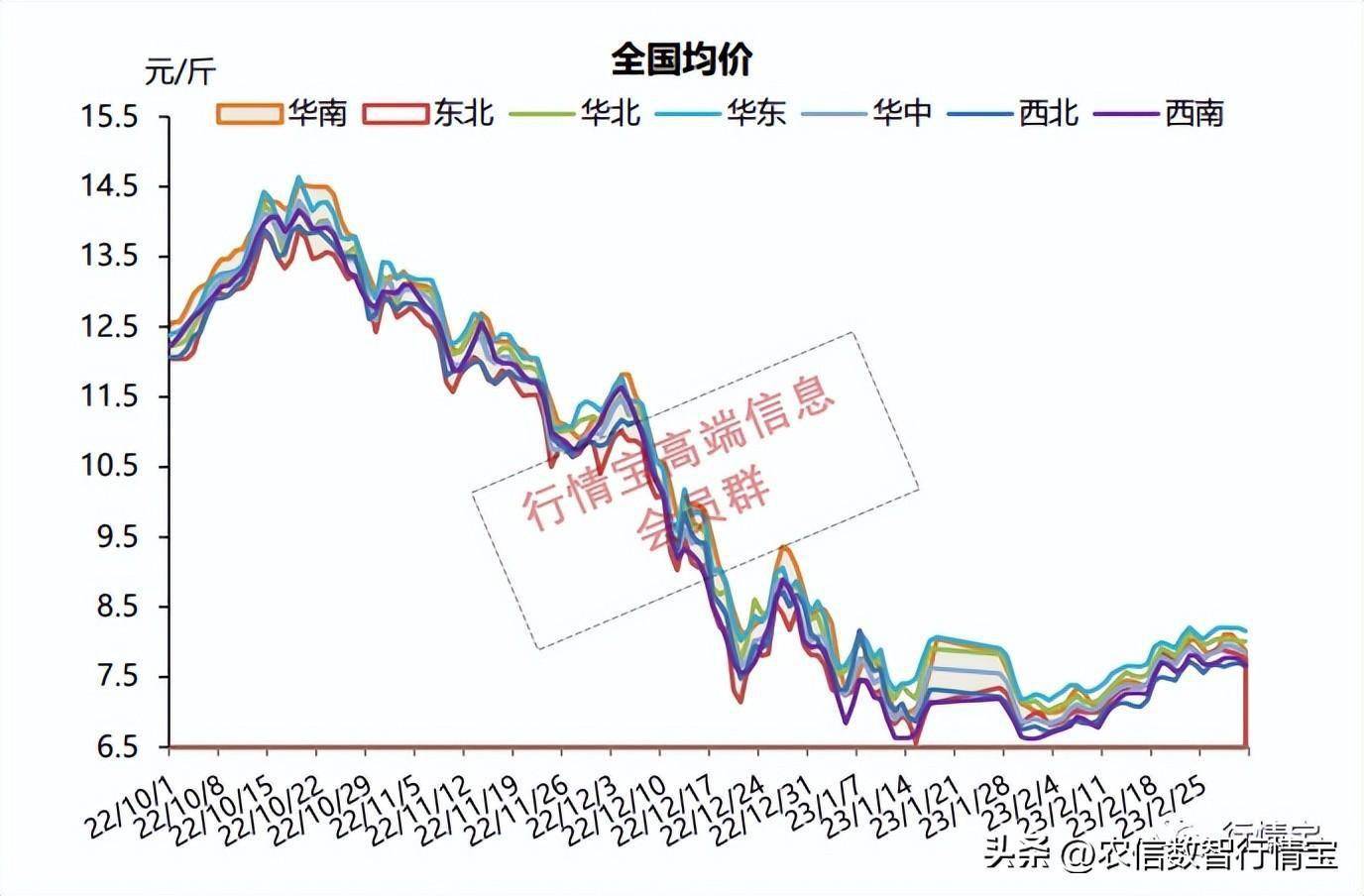 3月猪价怎么走？速看！