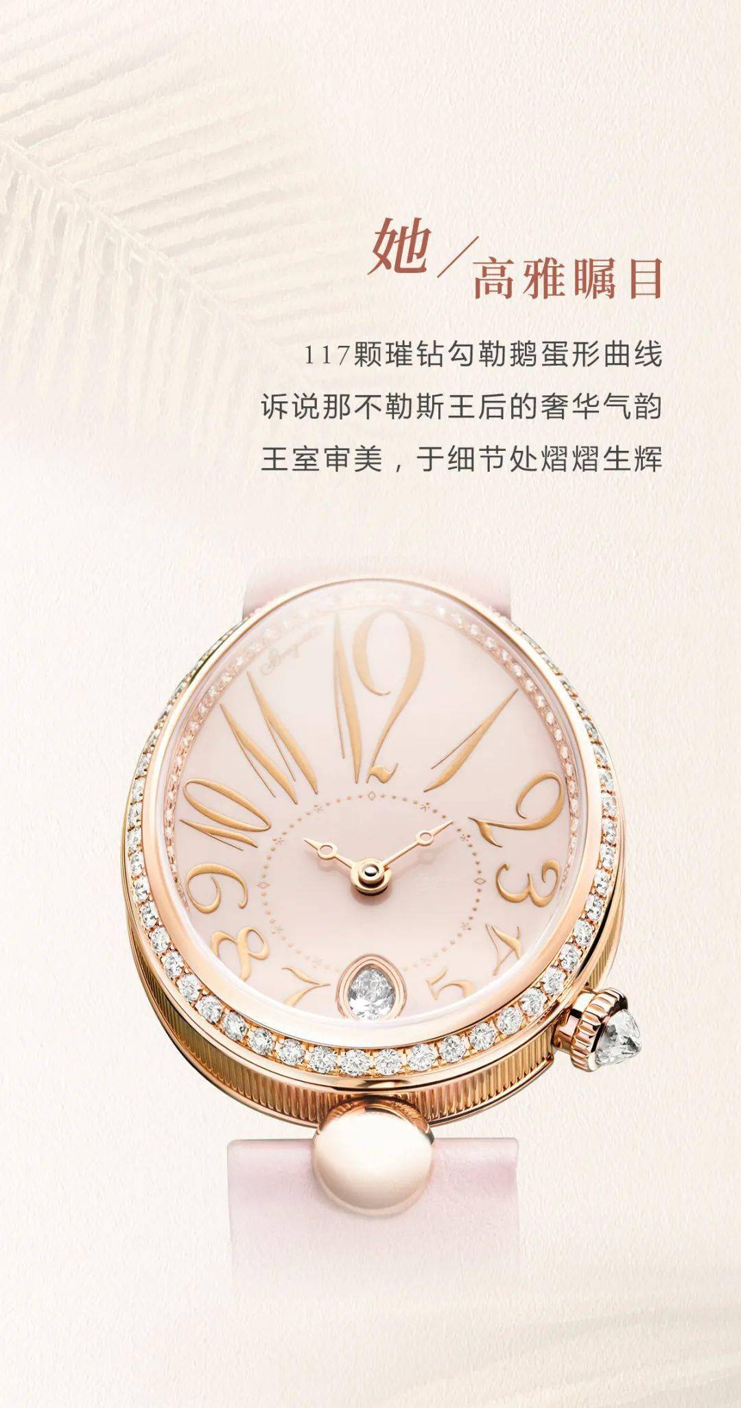 BREGUET����| �������