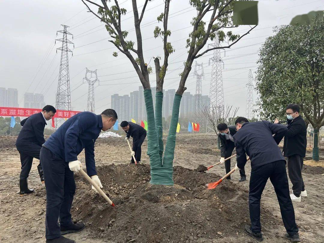 约起来！那个春天，一路“点绿”江岸