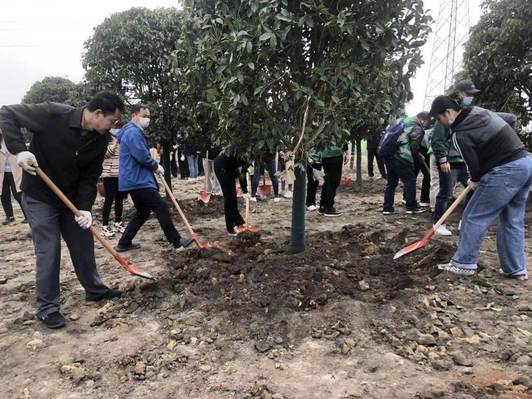 约起来！那个春天，一路“点绿”江岸