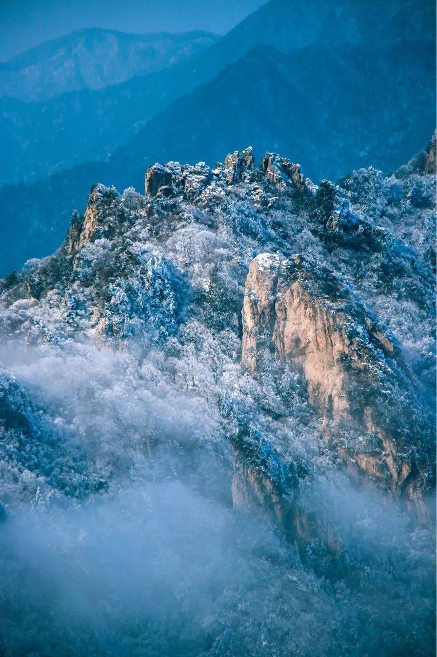 �й���һ�Ʋ���5A������Ƿծ4���ڣ���Ʊ���Ǽۣ���Ȫˮֻ ...