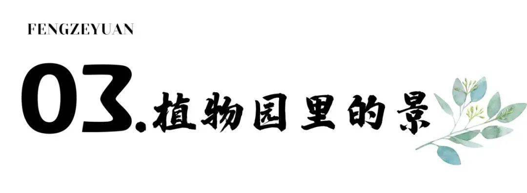 昆明“唤”新方案 | 来云南丰泽源动物园相逢梦幻莫奈花园