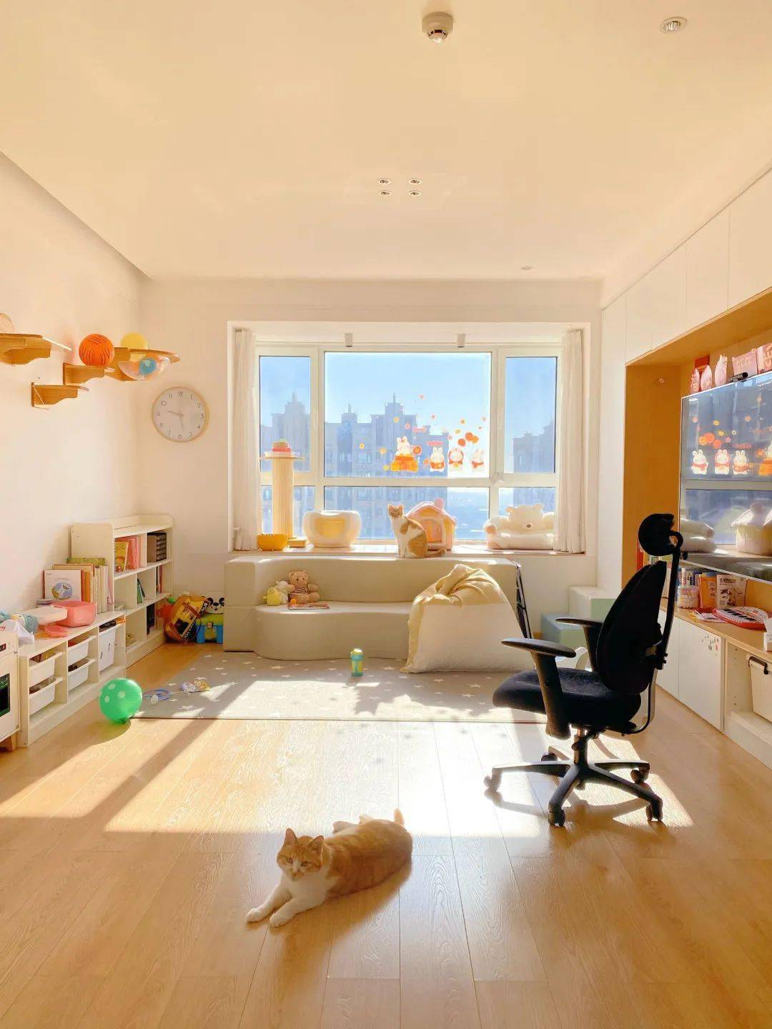 ���ë����Ϊʲôϲ������㣿