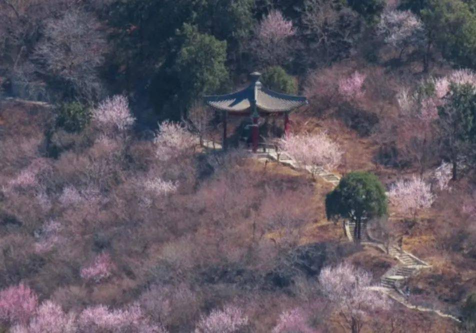 ���չ��ԣ�ʲô����˵TA ���һ����ۣ�