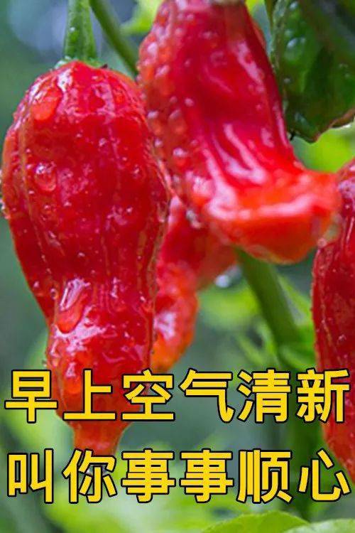 看淡生活图片_看淡的图片唯美_看淡的图片和文字