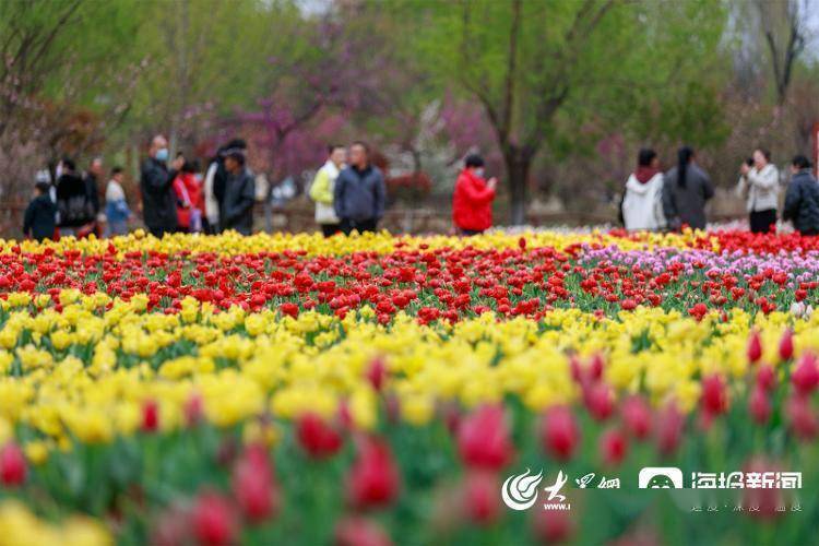 视觉山东丨群众视觉影像库一周图片精选（4月3日-4月9日）