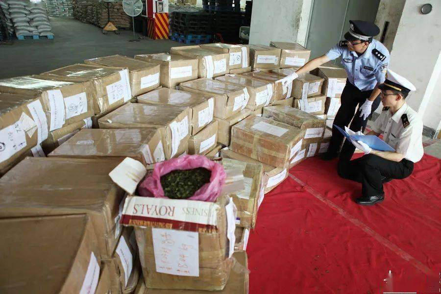 阿拉伯茶（恰特草）——也门：因吃草而逐渐被毁掉的国家