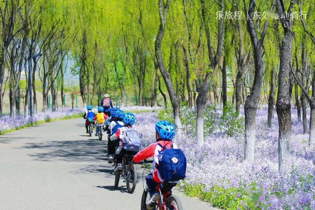 5月21日28日 周日  骑行课堂 ·东郊湿地公园越野骑行(图7)