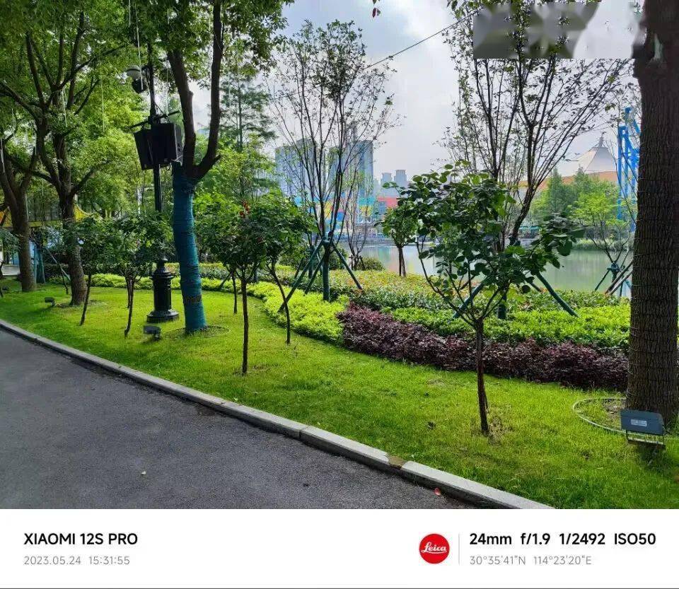 保驾运营 园林改造正当时 园区绿化换火狐电竞新颜(图1)